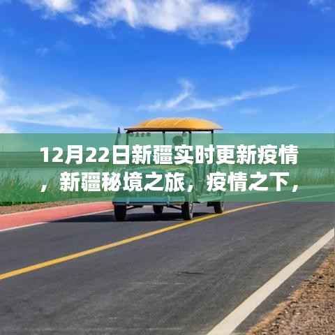 新疆疫情实时更新，疫情之下的秘境之旅与心灵绿洲探寻