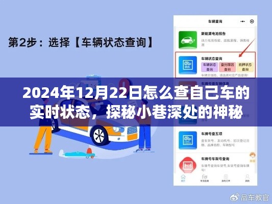 探秘神秘小店,轻松查询爱车在特定日期的实时状态(2024年12月22日)