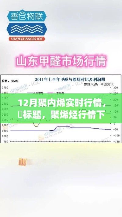 聚烯烃行情下的市场洞察,探寻内心宁静与自然魔力的奇妙旅程