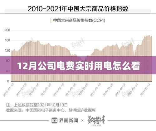 公司电费实时查看指南,12月用电监控全攻略