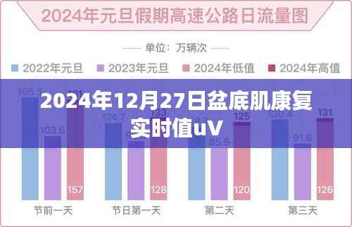 关于盆底肌康复实时值uV的解读与指导建议(专业解析)