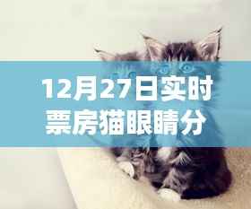 猫眼实时票房数据更新,猫眼睛分泌物话题热议