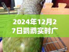 广州鹦鹉天气实时播报,2024年12月27日天气展望