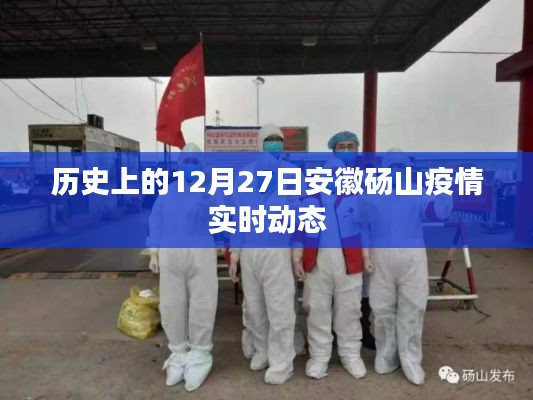 安徽砀山疫情实时动态，历史疫情回顾与最新进展