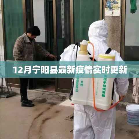 宁阳县疫情实时更新通知
