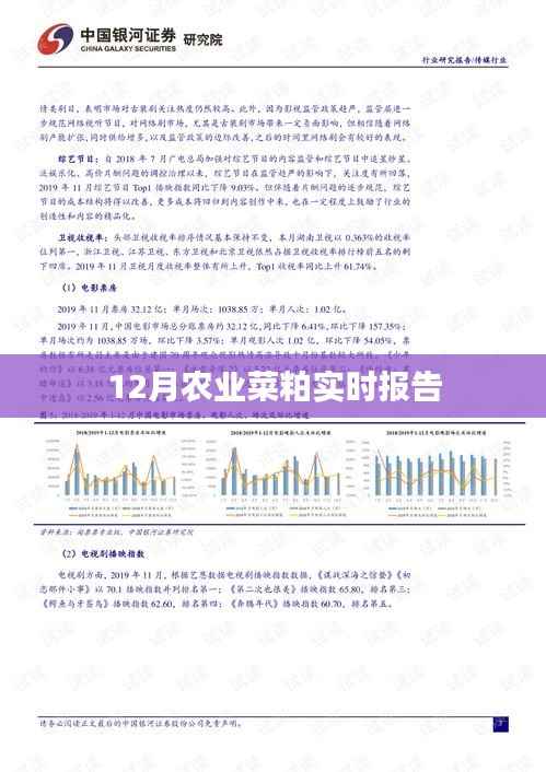 农业菜粕市场报告,最新实时动态分析