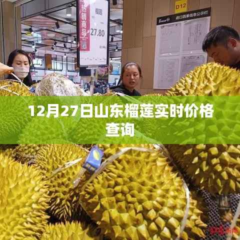 山东榴莲最新实时价格查询(12月27日)