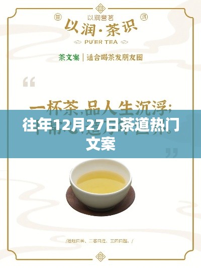 年终茶道盛典,品茗论道,传承千年文化魅力