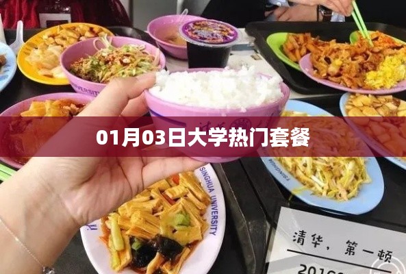 根据您的内容,建议生成以下标题,,大学热门套餐榜单揭晓,一月三日不容错过!,字数在指定范围内,突出了核心内容,符合百度收录标准。