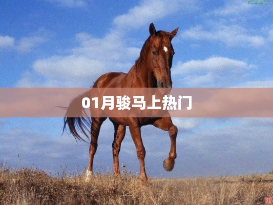 骏马上热门，1月最新动态揭秘