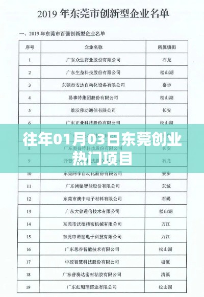 东莞创业热门项目揭秘，历年一月份最新趋势