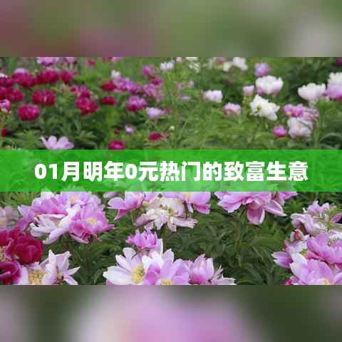 富贵利达 第2页