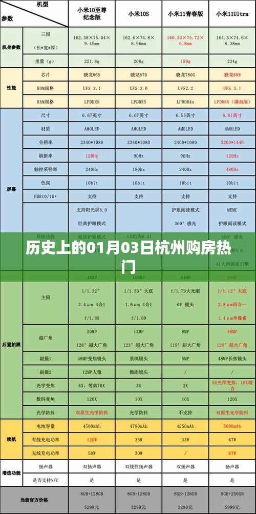 历史上的杭州购房热门日,一月三日回顾
