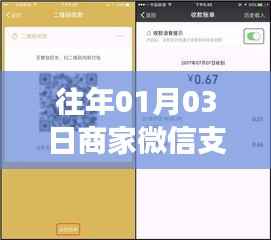 商家微信支付实时到账时间解析,历年经验分享