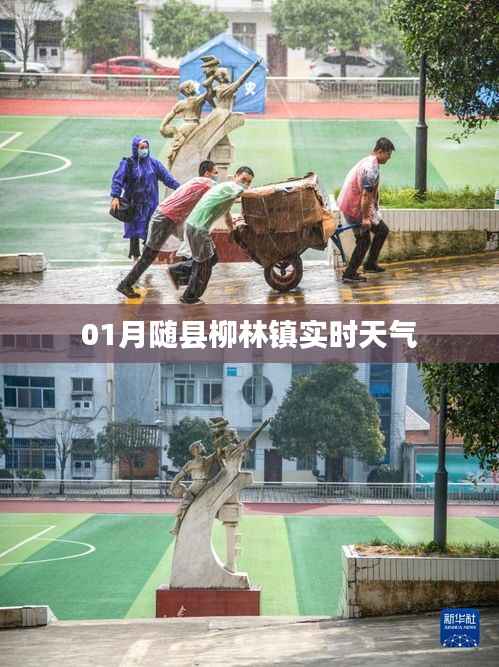 随县柳林镇实时天气更新报告