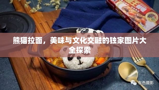 熊猫拉面,美味与文化交融的独家图片大全探索