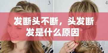 发断头不断,头发断发是什么原因