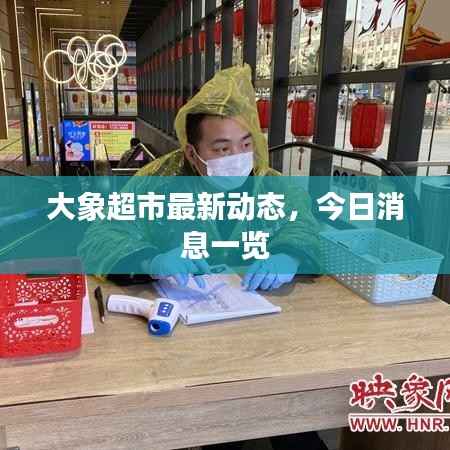 大象超市最新动态,今日消息一览