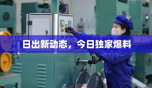 日出新动态,今日独家爆料