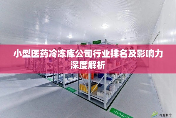 小型医药冷冻库公司行业排名及影响力深度解析