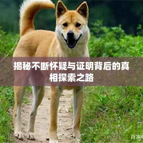 揭秘不断怀疑与证明背后的真相探索之路