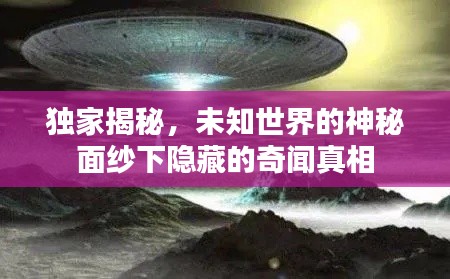 独家揭秘,未知世界的神秘面纱下隐藏的奇闻真相