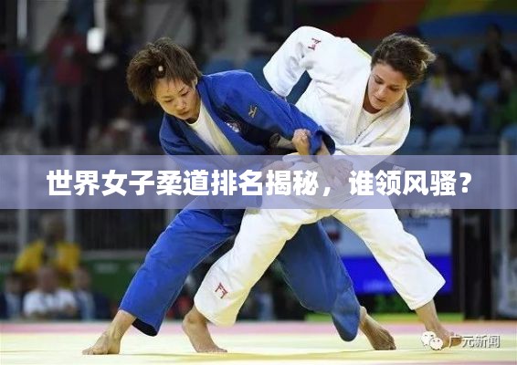世界女子柔道排名揭秘，谁领风骚？