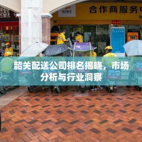 韶关配送公司排名揭晓,市场分析与行业洞察