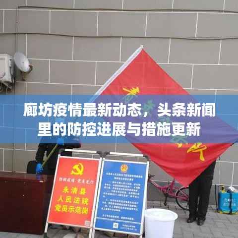 廊坊疫情最新动态,头条新闻里的防控进展与措施更新