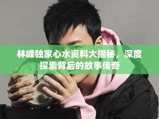 林峰独家心水资料大揭秘,深度探索背后的故事传奇