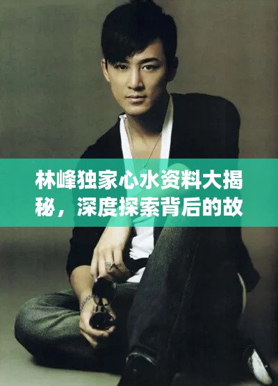 林峰独家心水资料大揭秘,深度探索背后的故事传奇