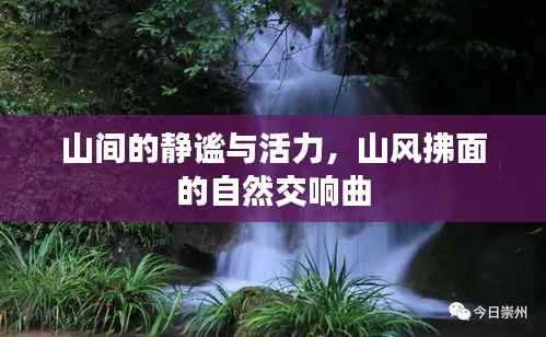 鸟为食亡 第2页