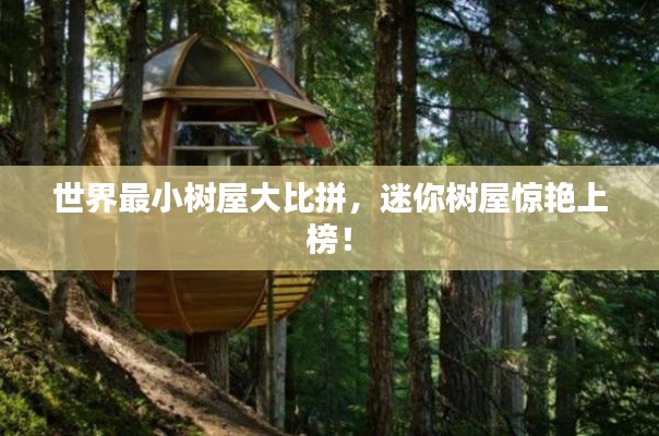 世界最小树屋大比拼,迷你树屋惊艳上榜!