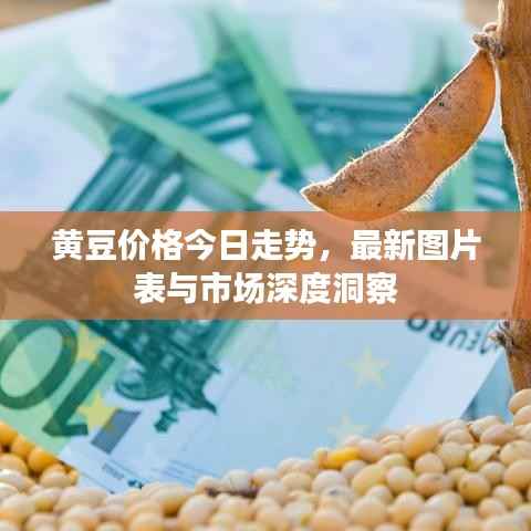 水浄鹅飞 第2页