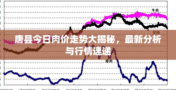 唐县今日肉价走势大揭秘,最新分析与行情速递