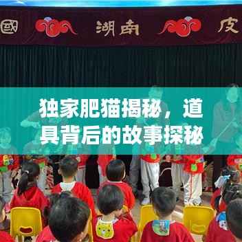 独家肥猫揭秘，道具背后的故事探秘