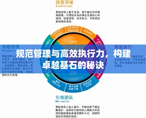 规范管理与高效执行力,构建卓越基石的秘诀