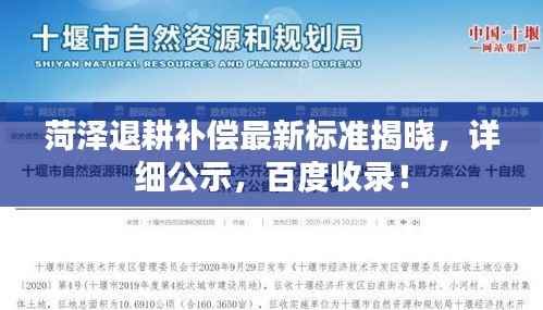 菏泽退耕补偿最新标准揭晓，详细公示，百度收录！