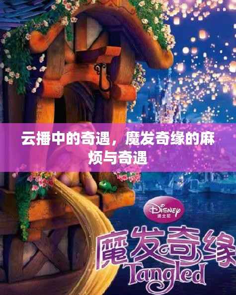 企业优势 第224页