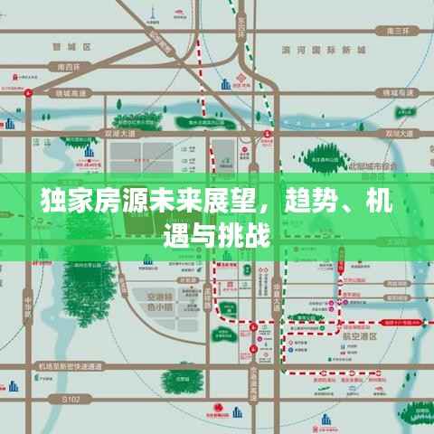 独家房源未来展望,趋势、机遇与挑战
