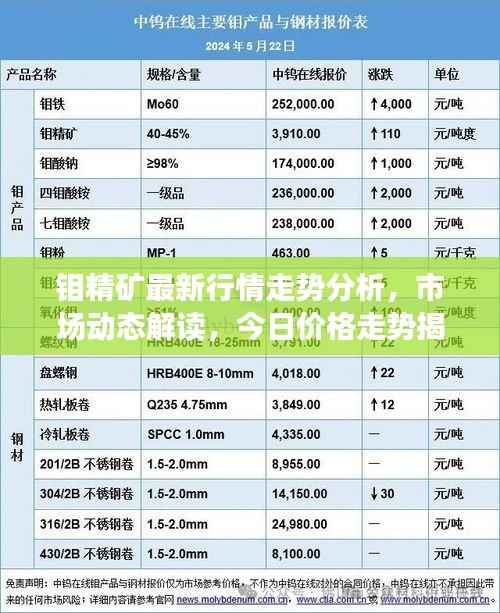 钼精矿最新行情走势分析,市场动态解读,今日价格走势揭秘!