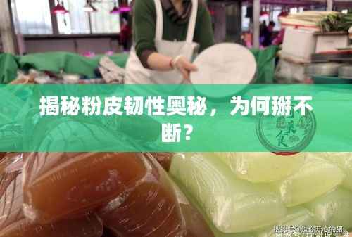 揭秘粉皮韧性奥秘,为何掰不断?