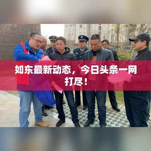 如东最新动态,今日头条一网打尽!