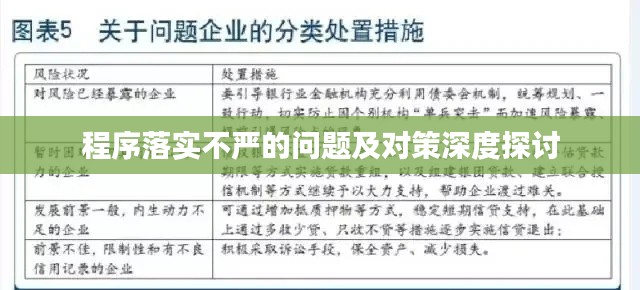 程序落实不严的问题及对策深度探讨