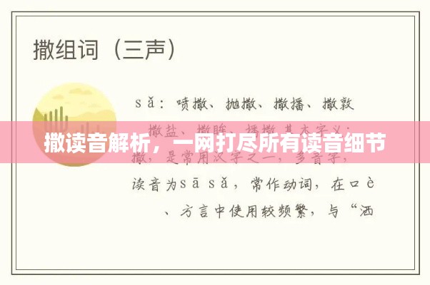 撒读音解析，一网打尽所有读音细节