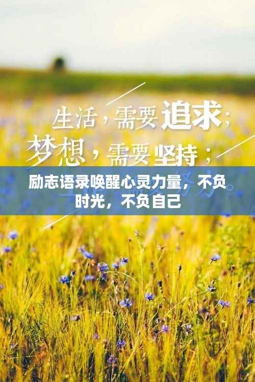 励志语录唤醒心灵力量，不负时光，不负自己
