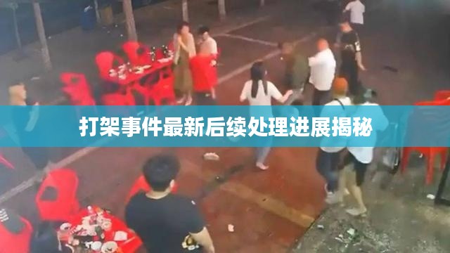 打架事件最新后续处理进展揭秘