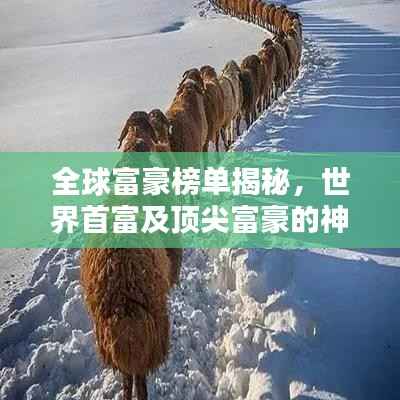 全球富豪榜单揭秘,世界首富及顶尖富豪的神秘面纱