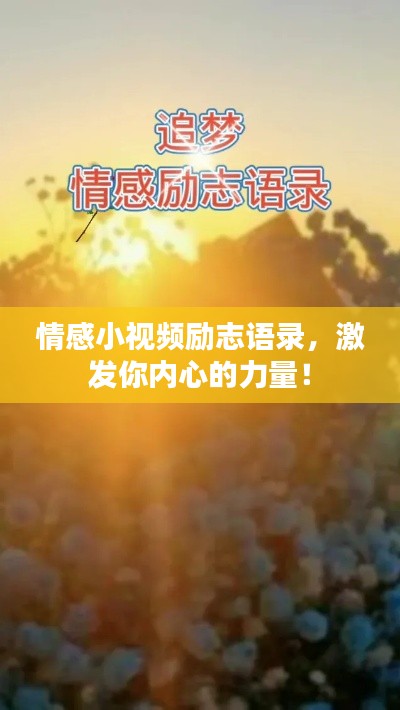 情感小视频励志语录,激发你内心的力量!