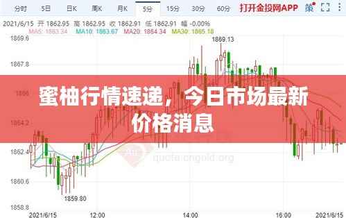 蜜柚行情速递,今日市场最新价格消息